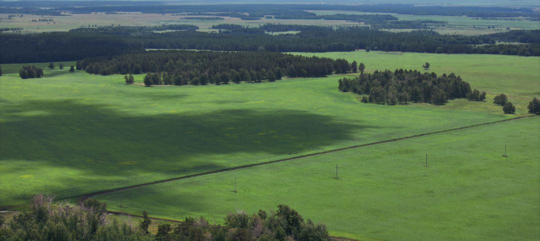 Поля в «Burabay Grain» Поля в «Burabay Grain»