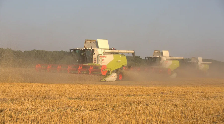 Cum au afectat schimbările climatice recolta și ce se întâmplă cu prețurile pentru hrișcă și floarea soarelui: rezultatele sezonului agricol 2020